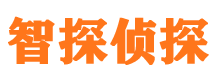 白河市私家侦探